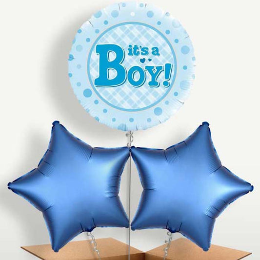 New Baby It's a Boy Balloon Bunch inflated with Helium | Small Indoor Plants