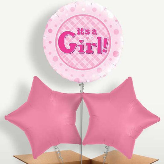 New Baby It's a Girl Balloon Bunch inflated with Helium | Small Indoor Plants