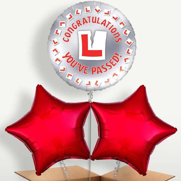 Passed Driving Test Balloon Bunch inflated with Helium | Small Indoor Plants