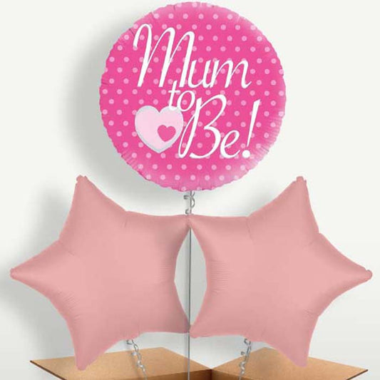 Mum to Be Baby Shower Balloon Bunches inflated with Helium | Small Indoor Plants