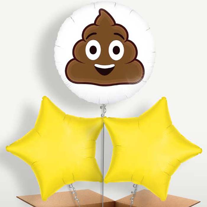 Poop Emoji Trio Balloon Bunch inflated with Helium | Small Indoor Plants