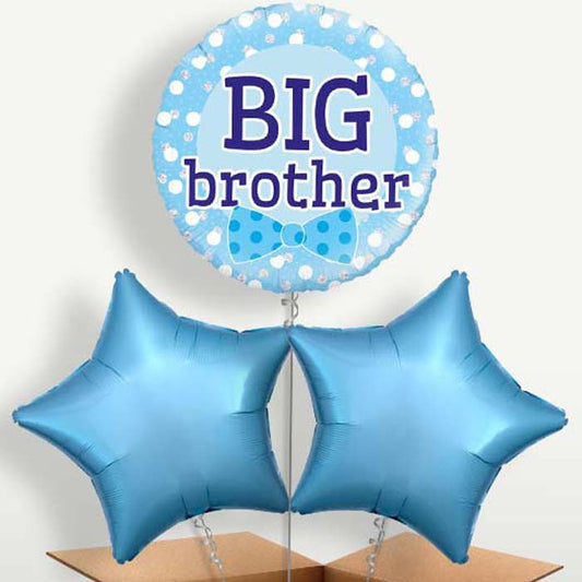 Big Brother Bunch of Balloons inflated with Helium | Small Indoor Plants