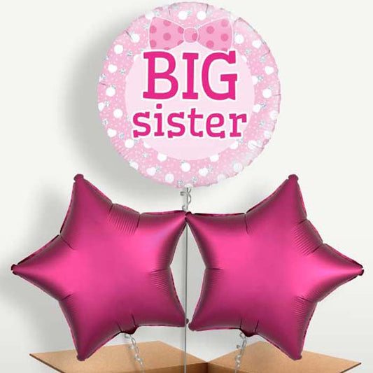 Big Sister Bunch of Balloons inflated with Helium | Small Indoor Plants