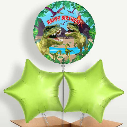 Birthday Dinosaur Bunch of Balloons inflated with Helium | Small Indoor Plants