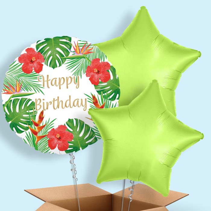 Tropical Balloons in a Box - Happy Birthday - 3 Balloon | Small Indoor Plants
