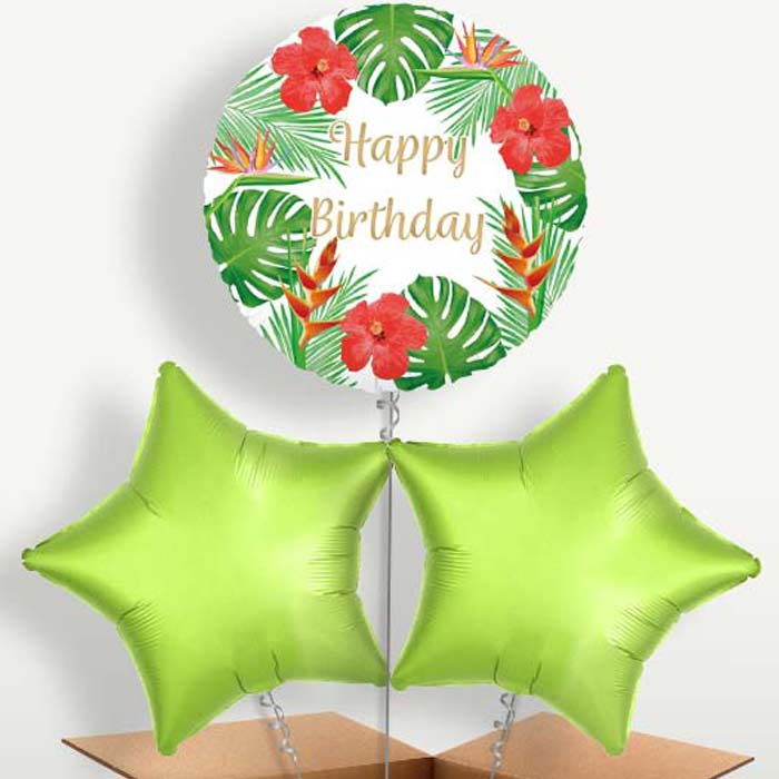 Tropical Happy Birthday Helium Bunch of Balloons | Small Indoor Plants