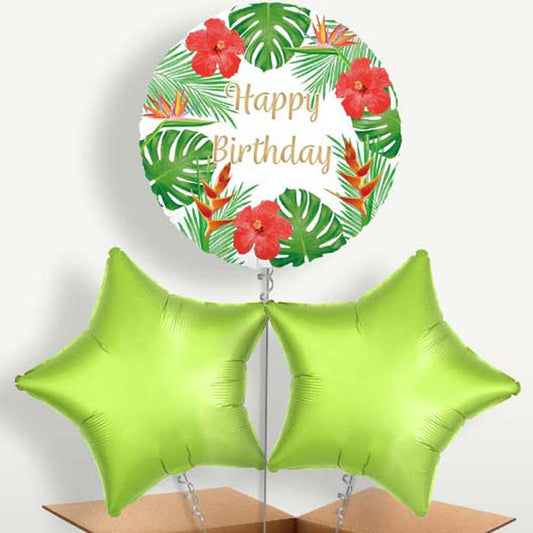 Tropical Happy Birthday Helium Bunch of Balloons | Small Indoor Plants