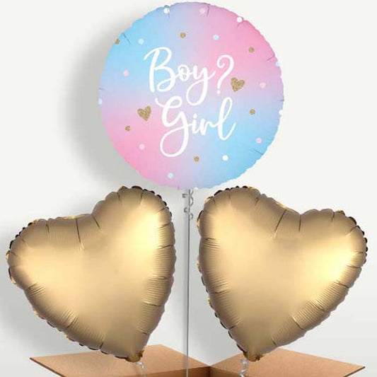 Pastel Ombre Gender Reveal Balloon Bunch | Small Indoor Plants