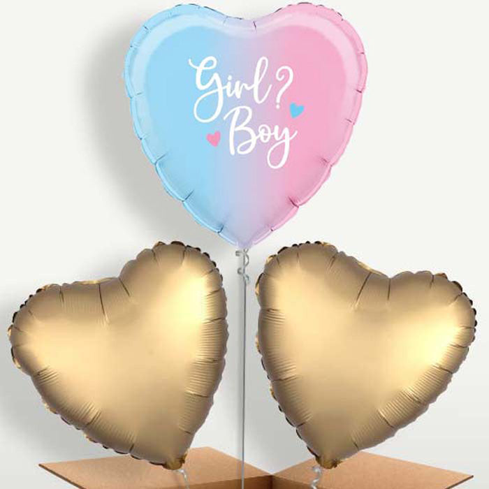 Ombre Heart Boy or Girl Balloon Bunch | Small Indoor Plants