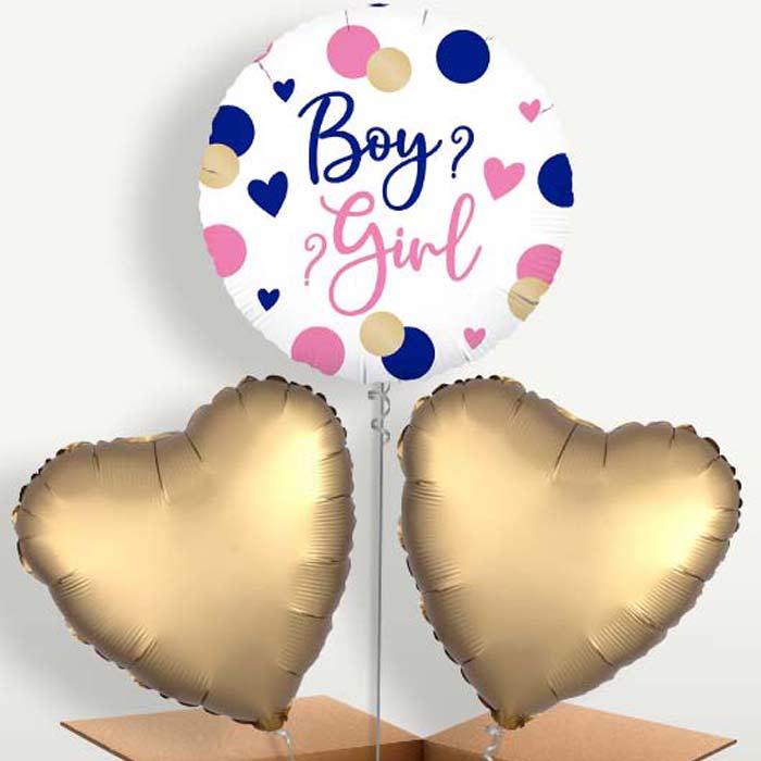 Pink & Navy Gender Reveal Balloon Bunch | Small Indoor Plants