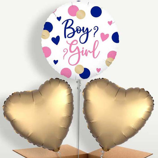 Pink & Navy Gender Reveal Balloon Bunch | Small Indoor Plants