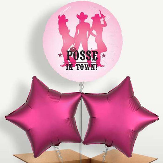 Hen Party Posse Balloons in a Bunch Inflated with Helium | Small Indoor Plants