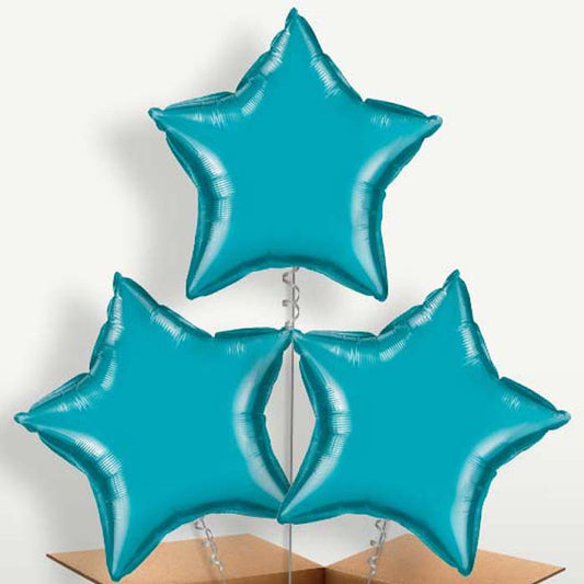 Turquoise Star Helium Bunch of Balloons | Small Indoor Plants