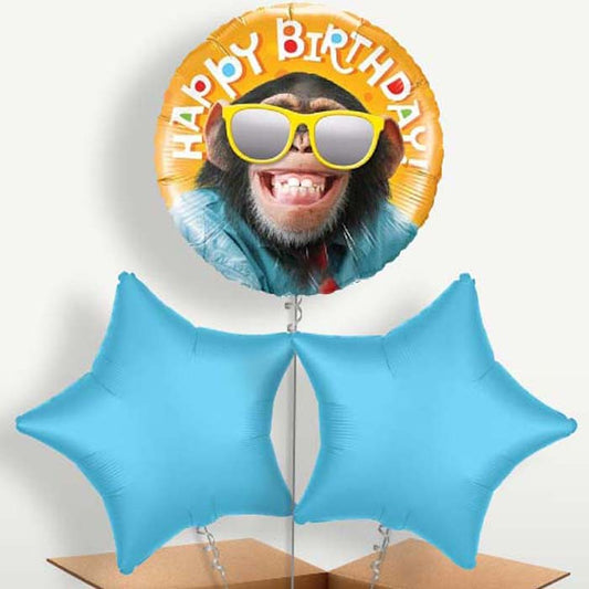 Monkey Birthday Balloon Bunches inflated with Helium | Small Indoor Plants