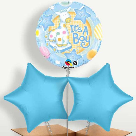 Baby Foot Baby Boy Bunch of Balloons inflated with Helium | Small Indoor Plants