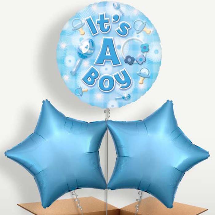 New Baby Boy Balloon Bunch inflated with Helium | Small Indoor Plants