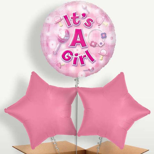 New Baby Girl Balloon Bunch inflated with Helium | Small Indoor Plants