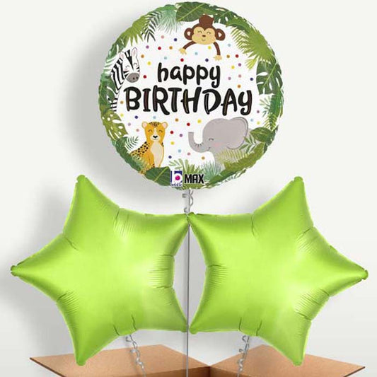 Happy Birthday Jungle Animals Balloons in a Bunch | Small Indoor Plants