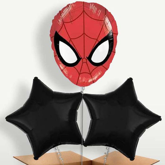 Spiderman Head Helium Bunch of Balloons | Small Indoor Plants