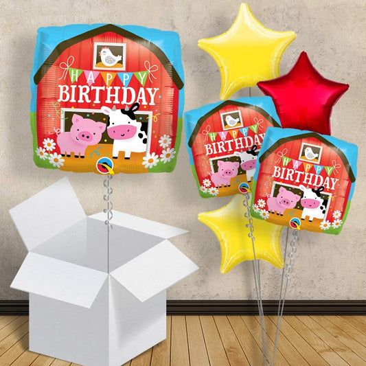 Happy Birthday Farm Balloons in a Box - 1 Balloon | Small Indoor Plants
