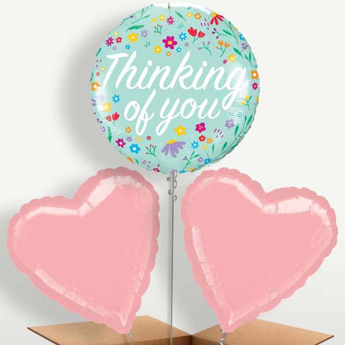 Floral Thinking of You Trio Balloon Bunch | Small Indoor Plants