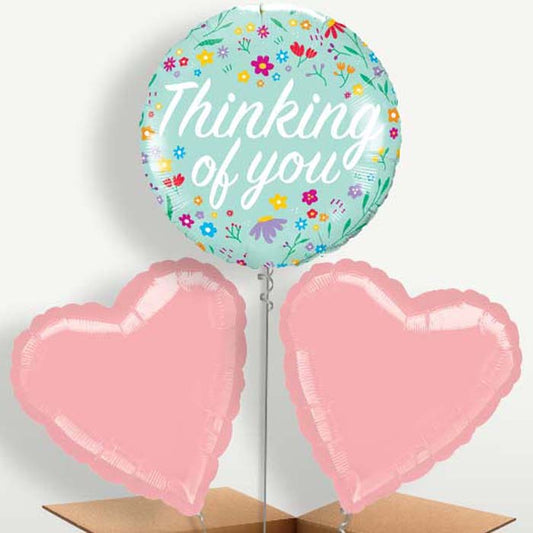 Floral Thinking of You Trio Balloon Bunch | Small Indoor Plants