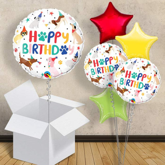 Happy Birthday Puppy Balloon in a Box - 1 Balloon | Small Indoor Plants
