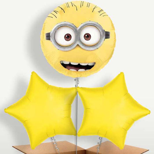 Minion Face Balloon Bunches inflated with Helium | Small Indoor Plants