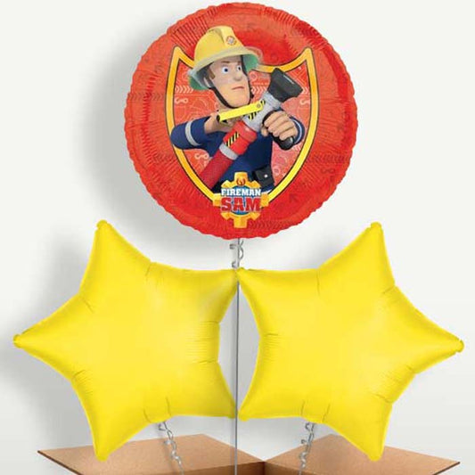 Fireman Sam Hose Trio Balloon Bunch inflated with Helium | Small Indoor Plants