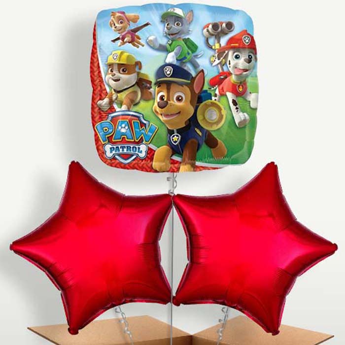 Red Paw Patrol Trio Balloon Bunch inflated with Helium | Small Indoor Plants