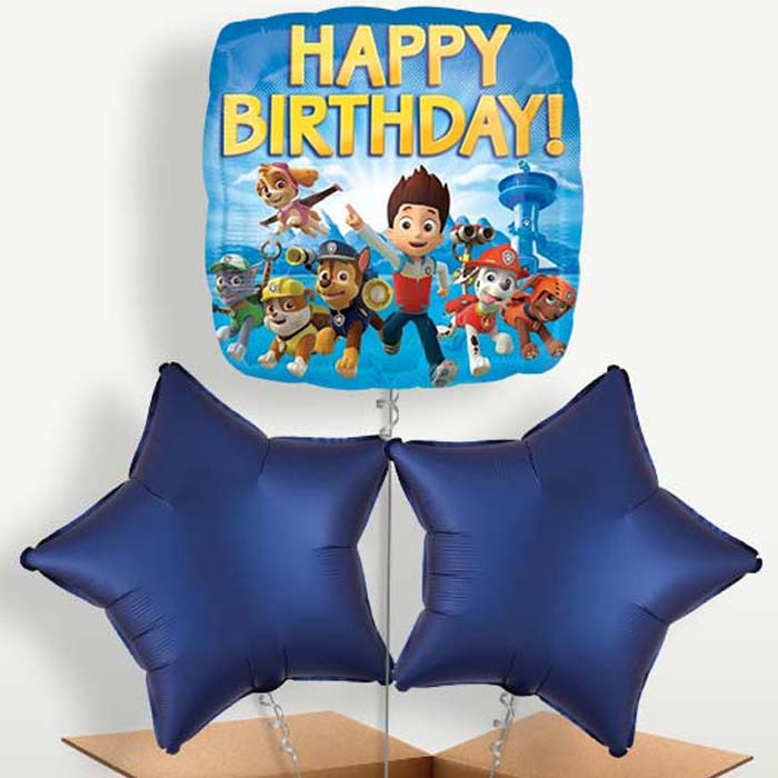 Paw Patrol Birthday Balloon Bunch inflated with Helium | Small Indoor Plants
