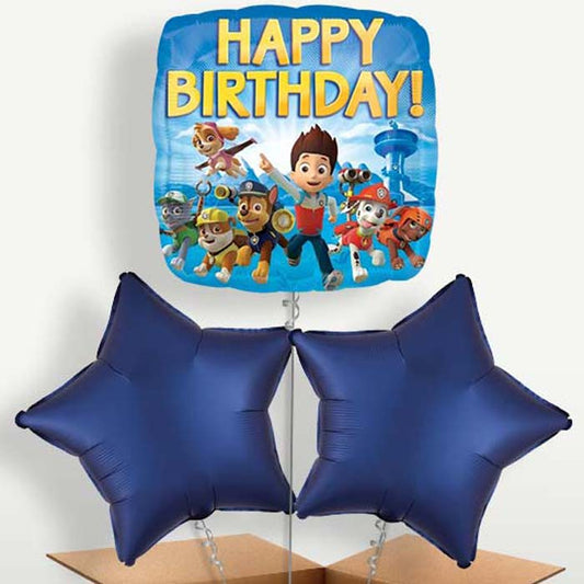Paw Patrol Birthday Balloon Bunch inflated with Helium | Small Indoor Plants