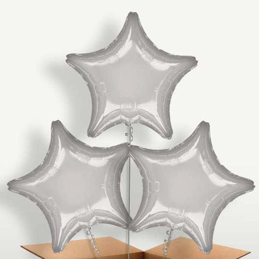 Silver Metallic Star Helium Bunch of Balloons | Small Indoor Plants