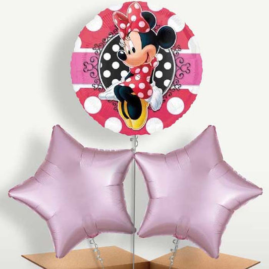 Minnie Mouse Polka Dots Balloon Bunches inflated with Helium | Small Indoor Plants