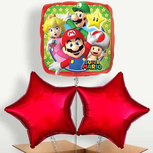 Mario & Luigi Balloon Bunches inflated with Helium | Small Indoor Plants