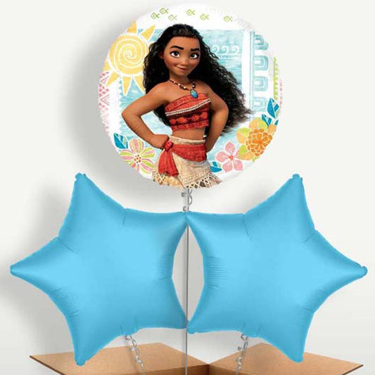 Disney Moana Balloon Bunches inflated with Helium | Small Indoor Plants