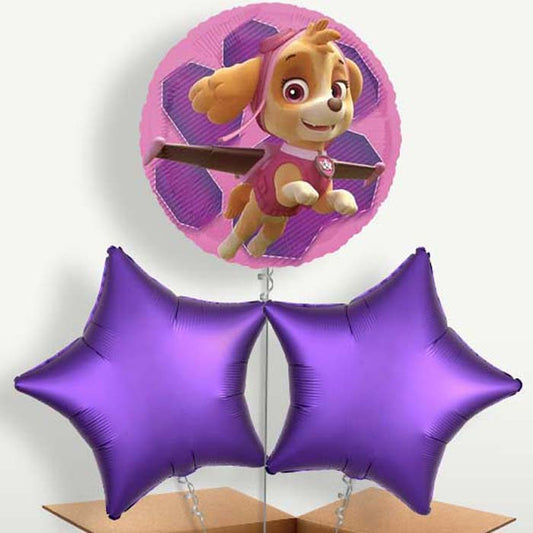 Skye Paw Patrol Helium Bunch of Balloons | Small Indoor Plants