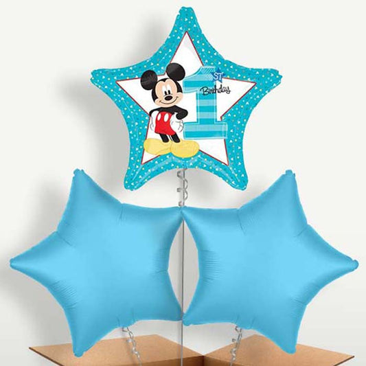 Mickey Mouse 1st Birthday Balloon Bunches | Small Indoor Plants