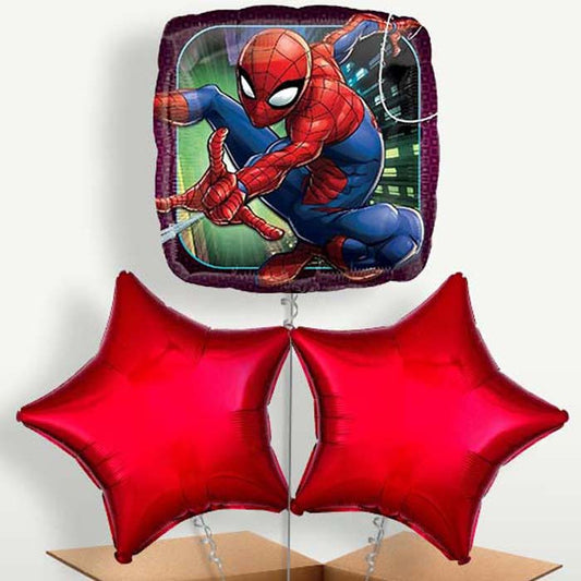 Animated Spiderman Bunch of Balloons inflated with Helium | Small Indoor Plants