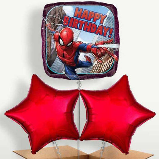 Spiderman Happy Birthday Helium Bunch of Balloons | Small Indoor Plants