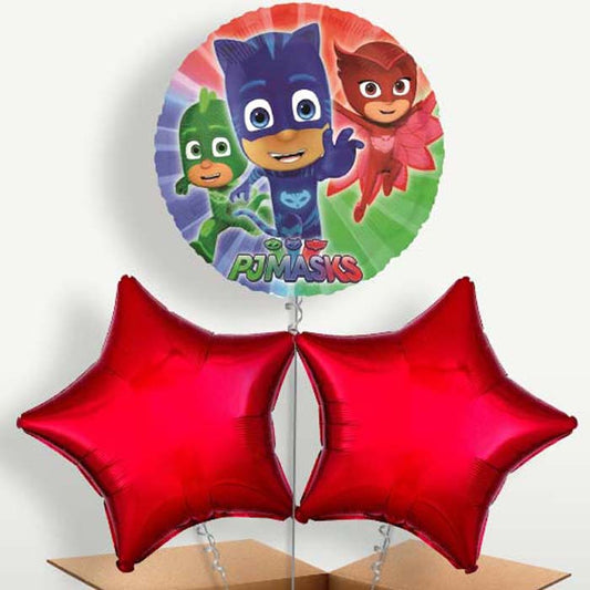 PJ Masks Balloon Bunch inflated with Helium | Small Indoor Plants