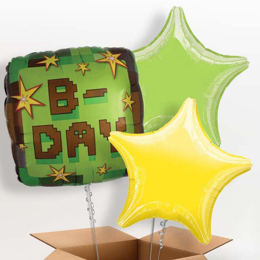 TNT Birthday Balloons in a Box - 3 Balloon | Small Indoor Plants