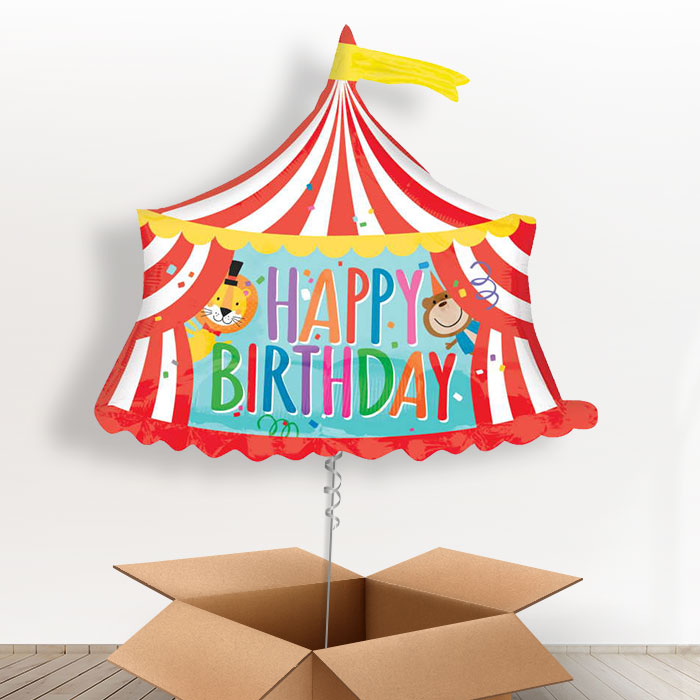 Circus Birthday Balloons in a Box - Giant Balloon | Small Indoor Plants