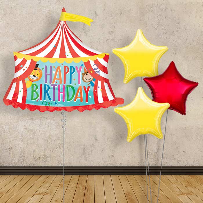 Circus Helium Balloon Bouquet – Happy Birthday - Plain Bouquet | Small Indoor Plants