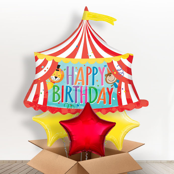 Circus Birthday Balloons in a Box - With 3 Plain Balloons | Small Indoor Plants