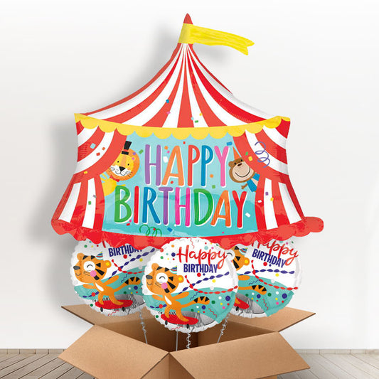 Circus Birthday Balloons in a Box - With 3 Themed Balloons | Small Indoor Plants