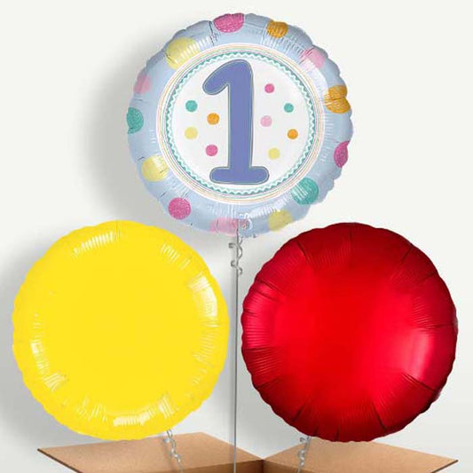 Pastel Dots 1st Birthday Balloon Bunch | Small Indoor Plants
