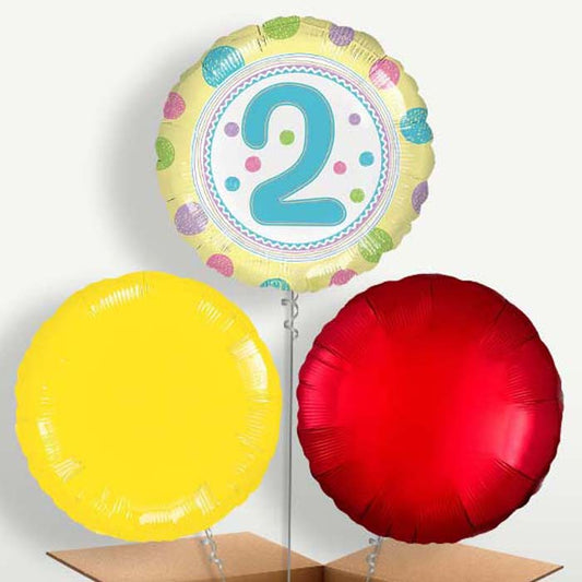 Colourful Spots 2nd Birthday Bunch of Balloons | Small Indoor Plants