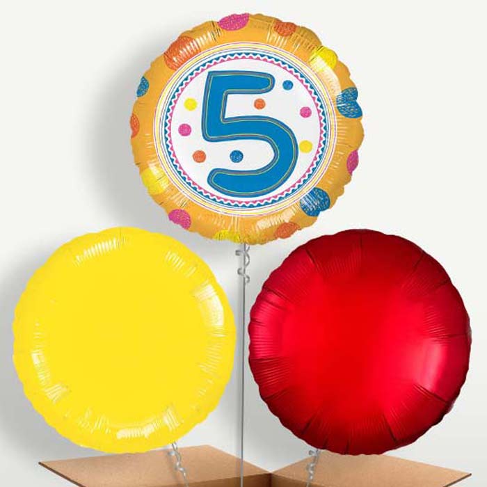 Colourful Spots 5th Birthday Bunch of Balloons | Small Indoor Plants