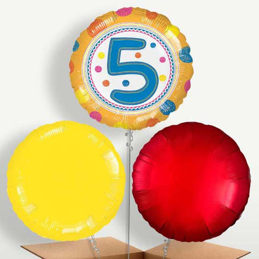 Colourful Spots 5th Birthday Bunch of Balloons | Small Indoor Plants